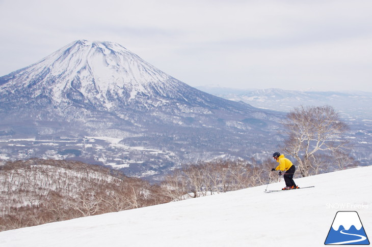 DYNASTAR SKI 